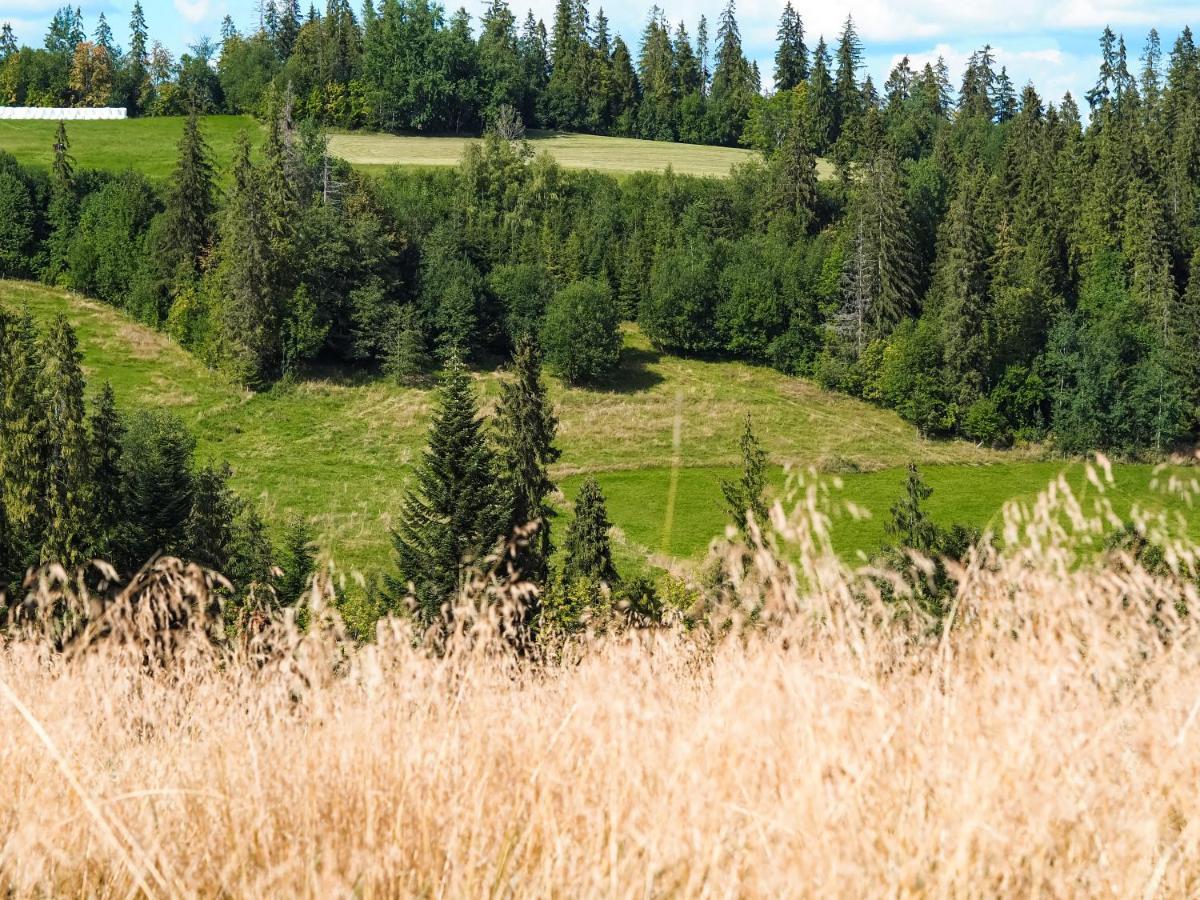 Owczarnia Tatry Villa บุโควินา ทัตซานสกา ภายนอก รูปภาพ